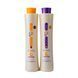 Биксипластия Honma Tokyo Plast Hair Bixyplastia Passion Fruit (Маракуйя) Набор 2x 1000 мл